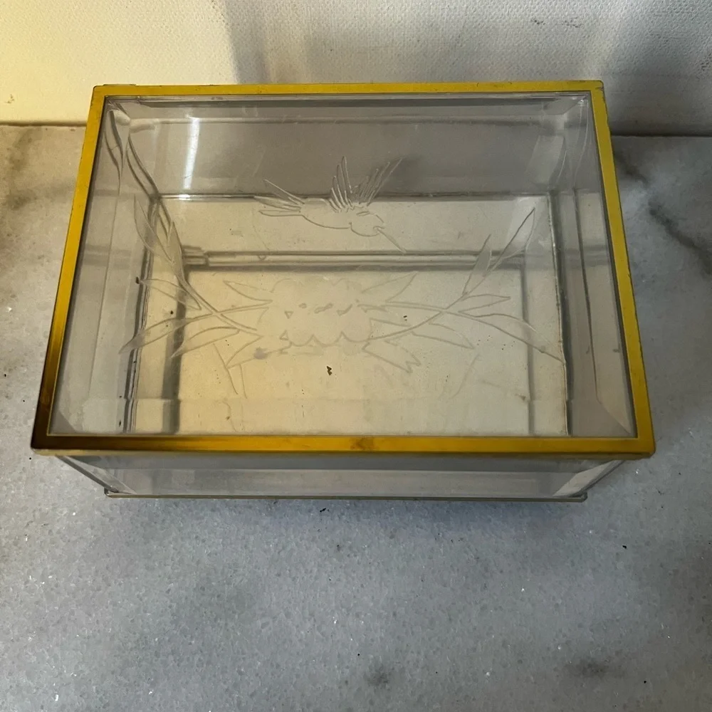 Vintage acrylic Jewelry Box with Gold brass Trim